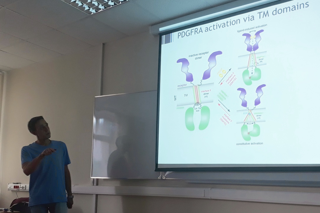 Антон Полянский рассказывает о роли формирования димера при работе мембранного рецептора PDGFRa.