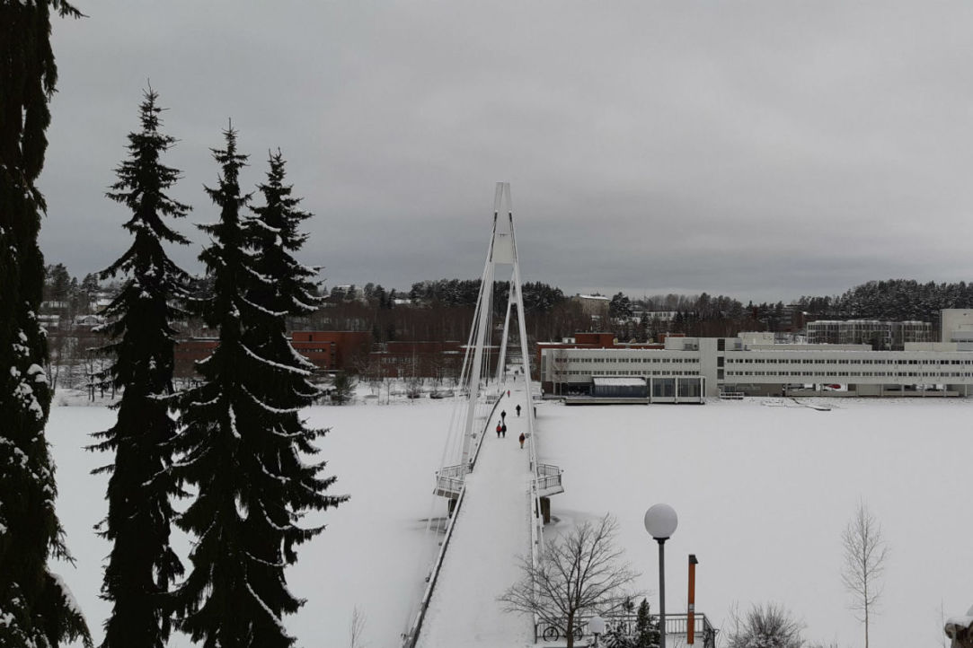Визит в Университет Ювяскюля, Финляндия