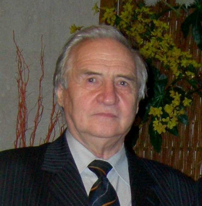 Профессор-исследователь, ординарный профессор В.И. Каштанов
